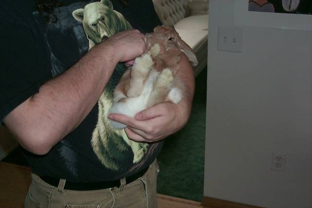 PeachesBaby1_SM.JPG (22516 bytes)