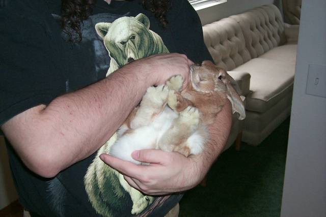 PeachesBaby2_SM.JPG (28470 bytes)