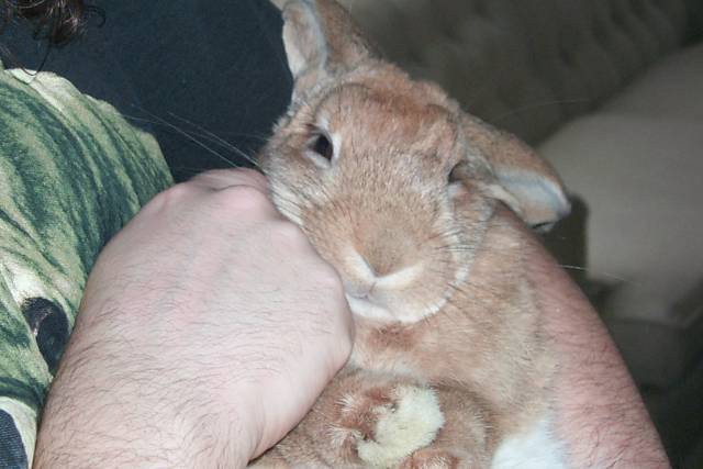 PeachesBaby3_SM.JPG (32204 bytes)